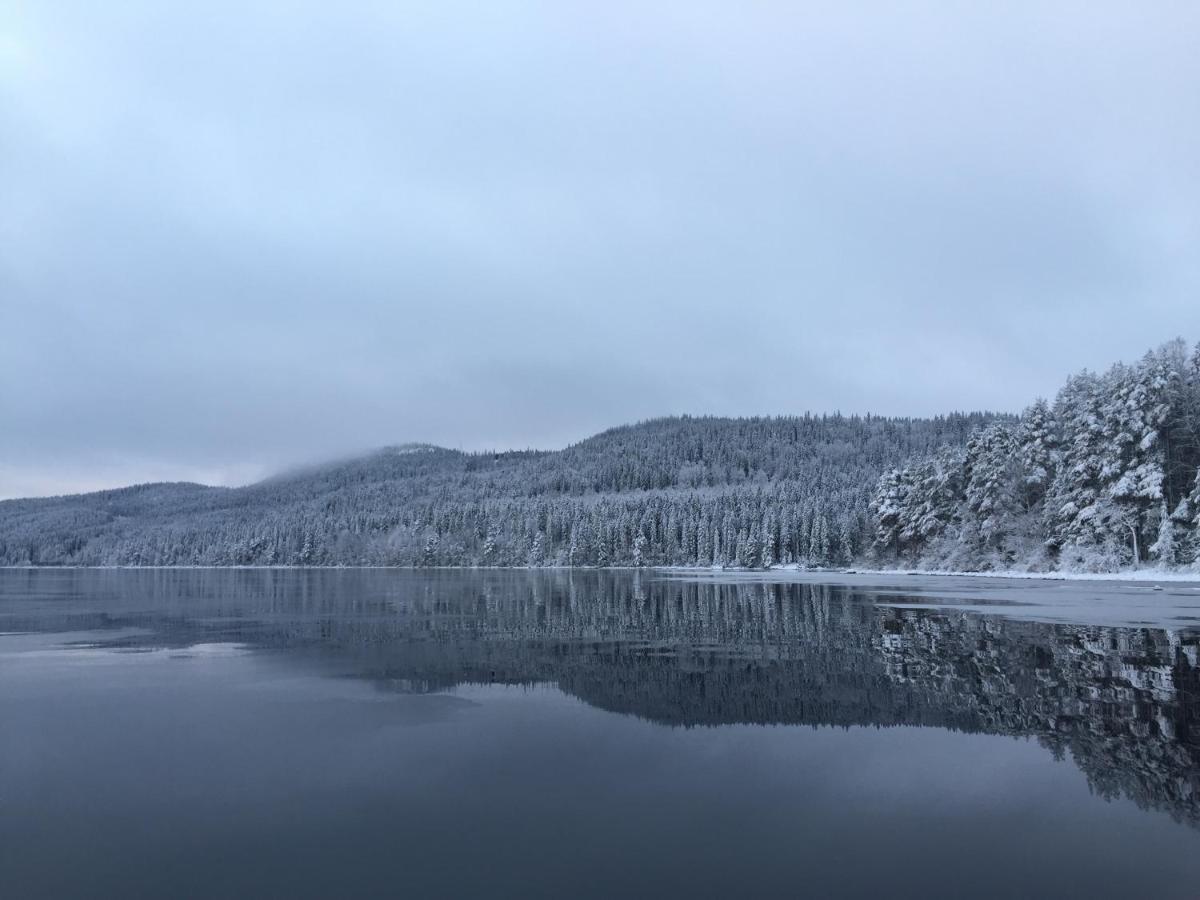 Aava Koli Villa Kolinkylä